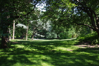 Enlarge photo 29