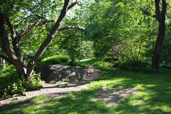 Enlarge photo 30