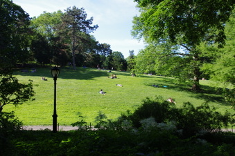 Enlarge photo 31