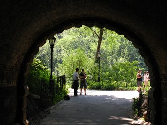 Enlarge photo 5