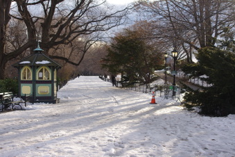 Enlarge photo 13