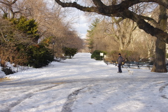 Enlarge photo 14