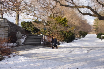 Enlarge photo 18