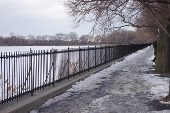 Enlarge photo 25