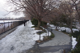 Enlarge photo 40