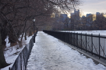 Enlarge photo 41