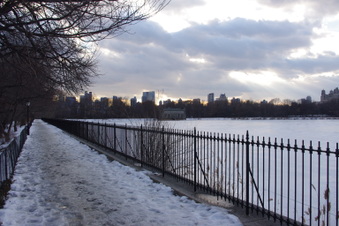Enlarge photo 42