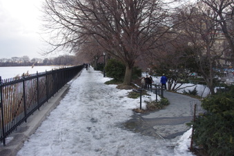 Enlarge photo 43