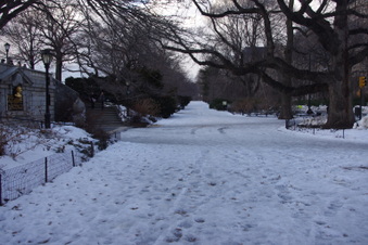 Enlarge photo 49