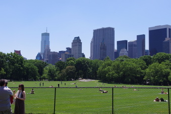 Central Park - Mineral Spring