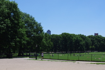 Enlarge photo 5