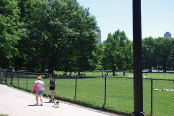 Enlarge photo 10