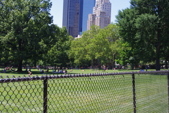 Enlarge photo 15