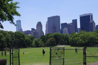 Enlarge photo 21