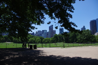 Enlarge photo 29
