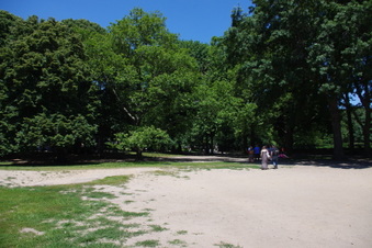 Enlarge photo 33