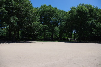 Enlarge photo 35