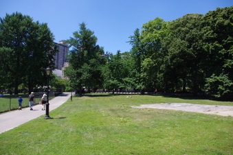 Enlarge photo 40