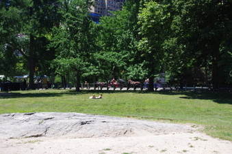 Enlarge photo 41