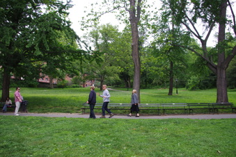 Enlarge photo 5