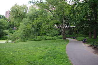 Enlarge photo 8