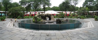 Enlarge photo 3