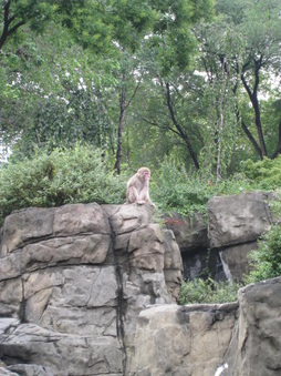 Enlarge photo 11
