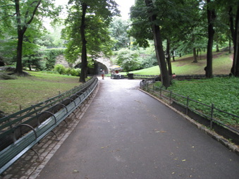 Enlarge photo 35