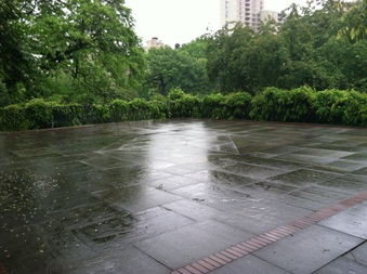 Enlarge photo 17