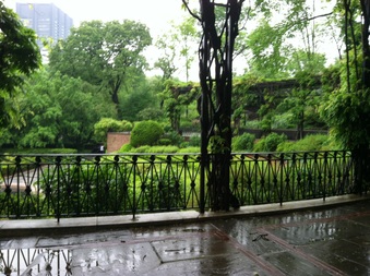 Enlarge photo 19