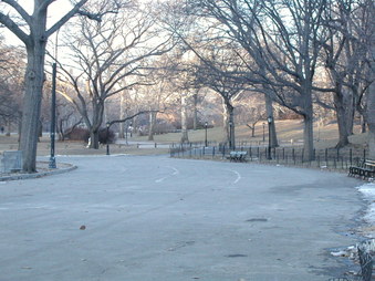 Dead Road