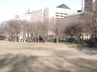 East Meadow