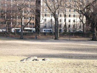 Enlarge photo 14