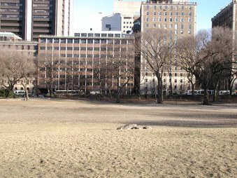 Enlarge photo 15