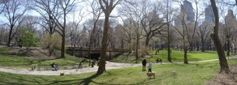 Enlarge photo 10