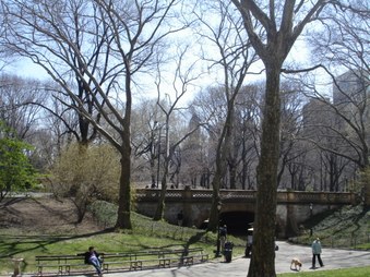 Enlarge photo 13
