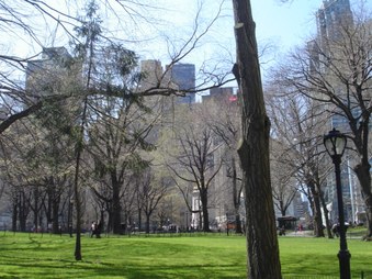 Enlarge photo 16