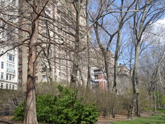 Enlarge photo 17