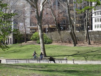 Enlarge photo 20