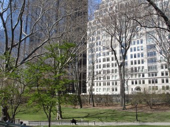 Enlarge photo 21