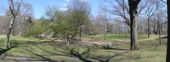Enlarge photo 2