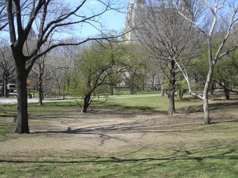 Enlarge photo 4