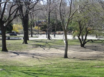 Enlarge photo 5