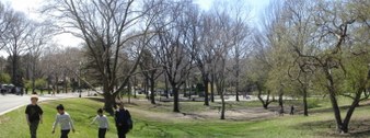 Enlarge photo 7