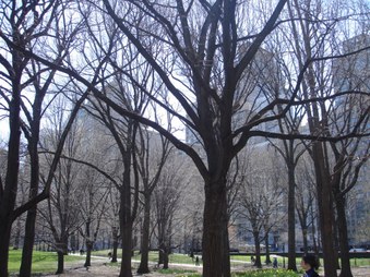 Enlarge photo 12