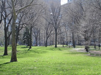 Enlarge photo 13