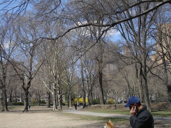 Enlarge photo 11