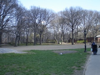 Enlarge photo 14