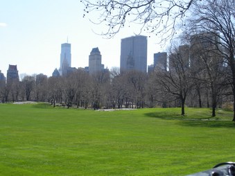 Enlarge photo 17