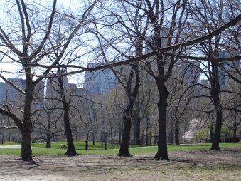 Enlarge photo 2